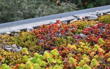 the cost of Brayford green roof installation
