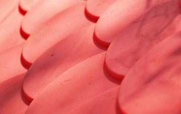 Brayford plastic roof costs